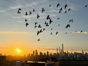 See NY Now Sleeps 21